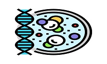 Cell-Line